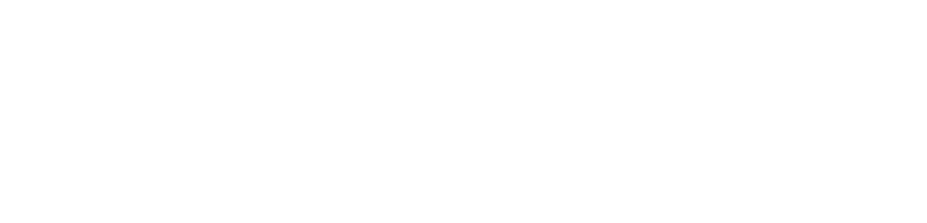 ShadowQS
